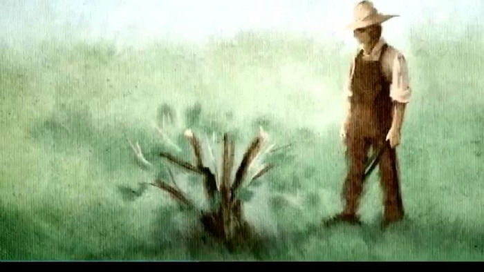 Садовник