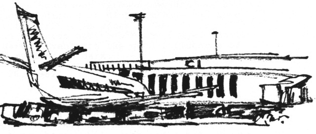 Рисунок самолета, Генри Айринг