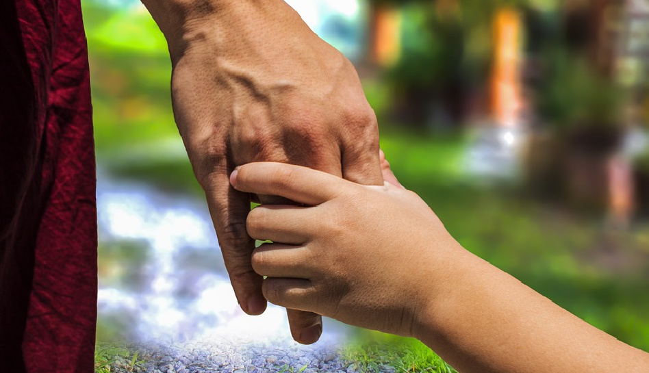 Одна ученая степень, которую должны получить все родители